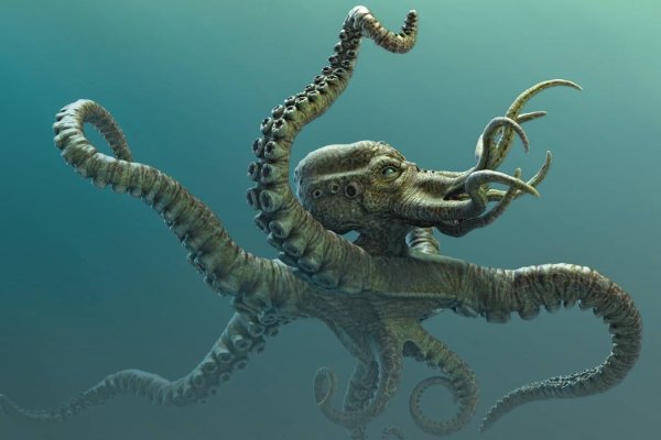 Kraken настоящая ссылка